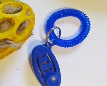 CLICKER