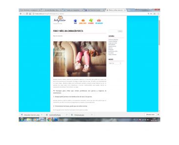 Prensa_0008_BabyRadio2015