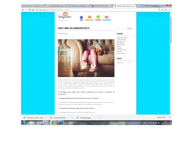 Prensa_0008_BabyRadio2015