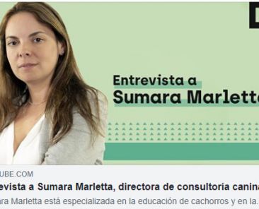 Sin título-1